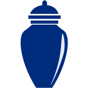 ICONO URNA WEB 1