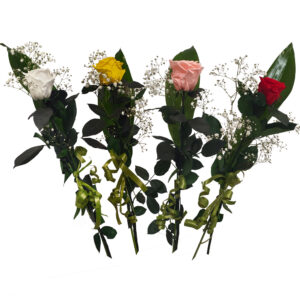 rosas eternas