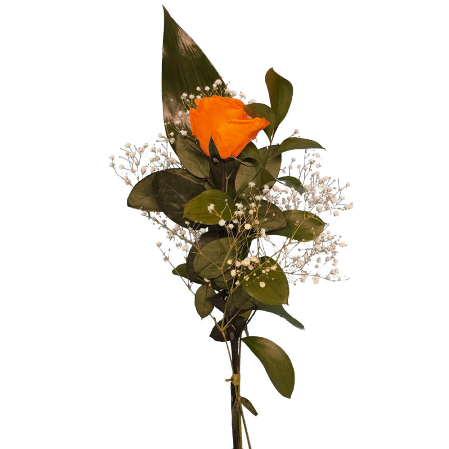 rosa eterna naranja