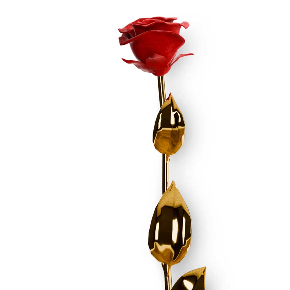 rosa-oro-y-terciopelo3-tanatorio-san-jose rosa oro y terciopelo3 tanatorio san jose