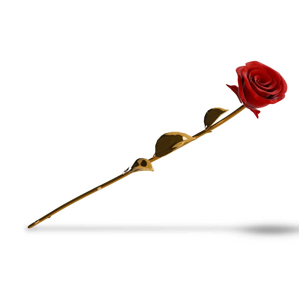 rosa-oro-y-terciopelo4-tanatorio-san-jose rosa oro y terciopelo4 tanatorio san jose